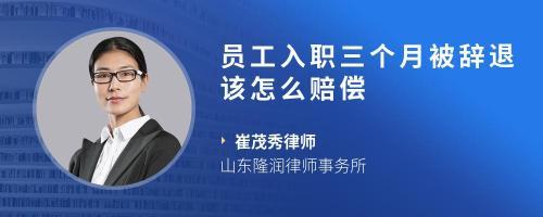 工廠工作三個月被解雇，如何依法爭取賠償？