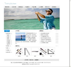 網度 專業網站建設，塑造您的數字化未來——產品6025